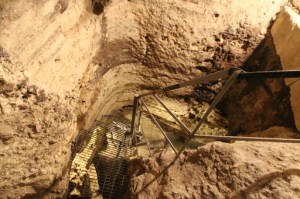 Living the Dream—In a Tacco!